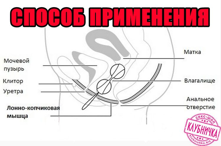 Как сделать чтобы мышцы влагалища Как сделать чтобы мышцы влагалища