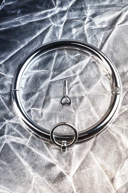 Изображение 9, Ошейник TOYFA Metal с кольцом, металл, серебряный, TFA-717181-S