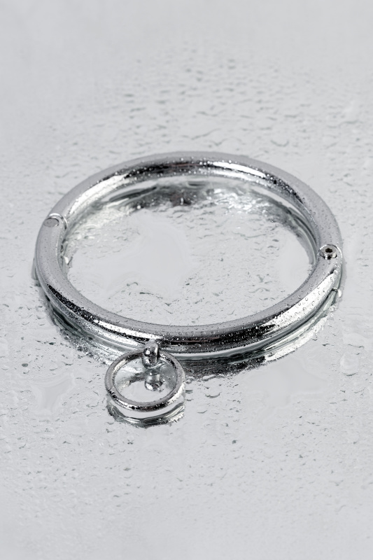 Изображение 10, Ошейник TOYFA Metal с кольцом, металл, серебряный, TFA-717181-S