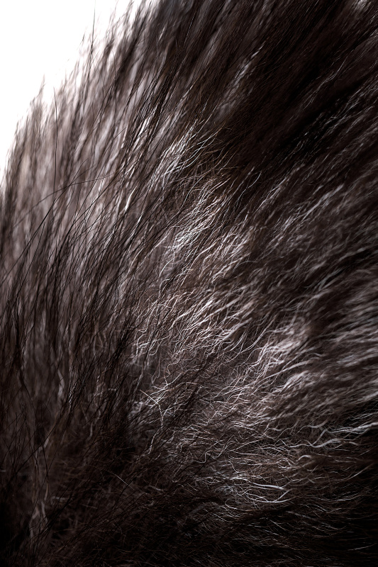 Изображение 8, Анальная втулка с хвостом чернобурой лисы POPO Pleasure by TOYFA, M, силикон, черная, 45 см, Ø 3,3 с, TFA-731442