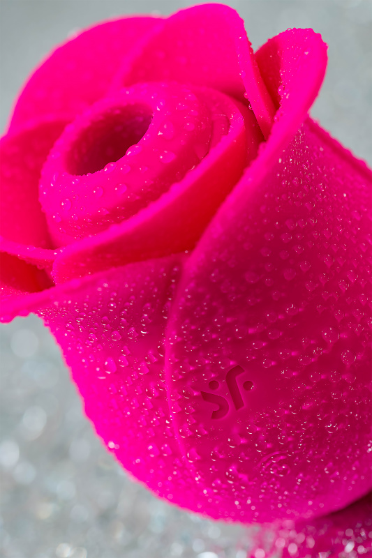 Изображение 16, Вакуум-волновой стимулятор клитора Satisfyer Pro 2 Modern Blossom, силикон, бордовый, 6,6 см, TFA-4065861