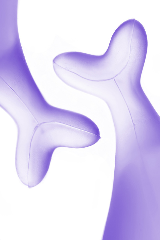 Изображение 12, Менструальная чаша Satisfyer Feel Secure, 2 шт в наборе, силикон, фиолетовый, FER-J1766-4