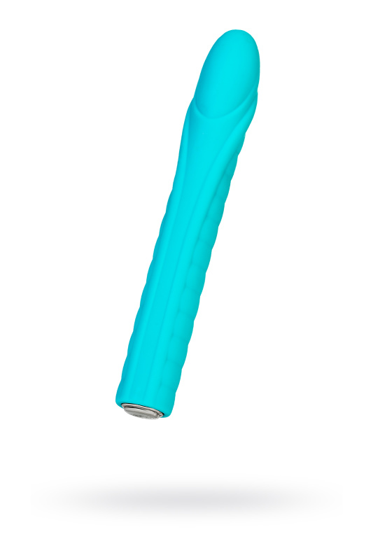 Изображение 1, Нереалистичный вибратор Nalone Dixie, силикон, голубой, 16,7 см, TFA-CS-B013-T